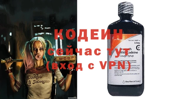 стаф Арсеньев