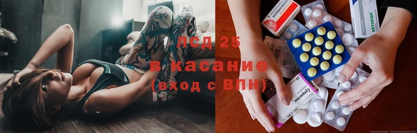 стаф Арсеньев
