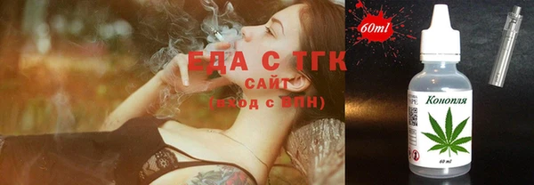 индика Аркадак