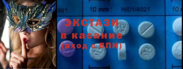 индика Аркадак