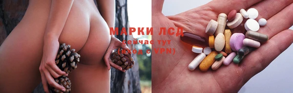 стаф Арсеньев
