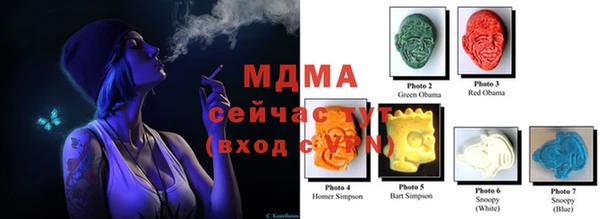индика Аркадак