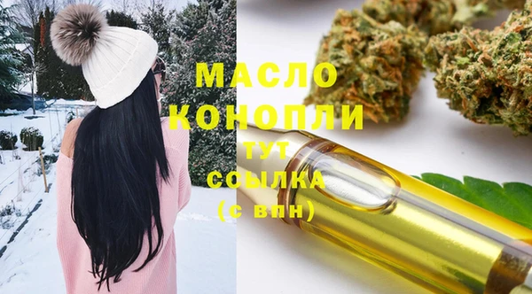 стаф Арсеньев