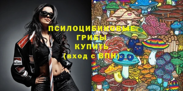 стаф Арсеньев