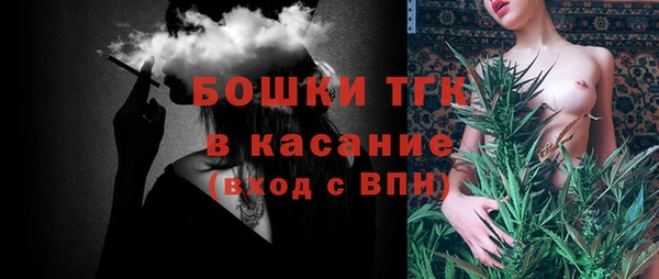 индика Аркадак