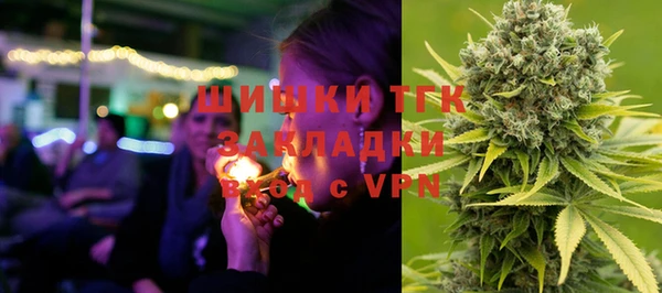 индика Аркадак