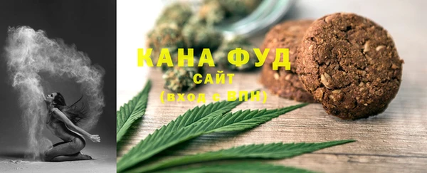 индика Аркадак