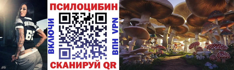 Галлюциногенные грибы Magic Shrooms  наркошоп  Баймак 